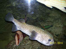 100_3445.jpg (1307303 bytes)