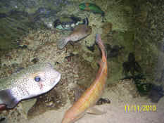 100_3447.jpg (1329947 bytes)