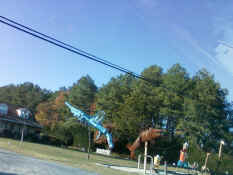 1109101433.jpg (836317 bytes)