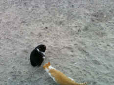 1110100843.jpg (1104563 bytes)