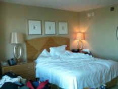 1111100821.jpg (463889 bytes)