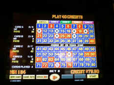 1111101310.jpg (710008 bytes)