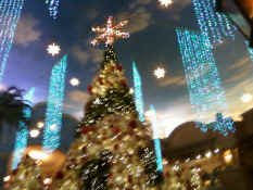 1112101121.jpg (888737 bytes)