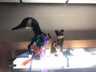 79062965065__89E604B5-D054-470B-9423-02ECCA231A29.jpg (1544259 bytes)