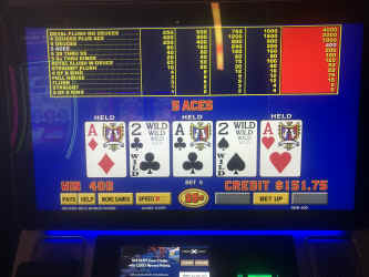 79090290937__98A74752-6492-4918-8C49-A9FFA2306E2A.jpg (2141272 bytes)