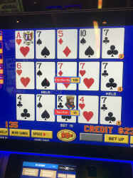 79099568294__28505638-50B3-4EA4-9B08-DCDF019107FA.jpg (2786763 bytes)