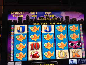 IMG_2042.JPG (1725631 bytes)