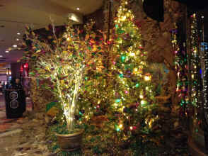 IMG_2062.JPG (1508113 bytes)