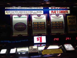 IMG_2118.JPG (1273476 bytes)