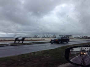 IMG_2154.JPG (1077111 bytes)