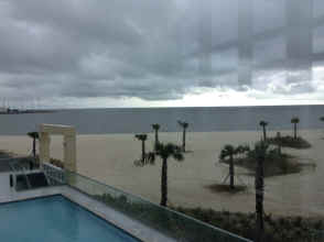 IMG_2170.JPG (1084405 bytes)