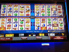 IMG_2218.JPG (1624647 bytes)