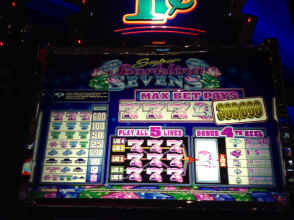 IMG_2219.JPG (1284969 bytes)