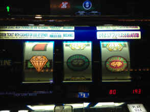 IMG_2239.JPG (999615 bytes)