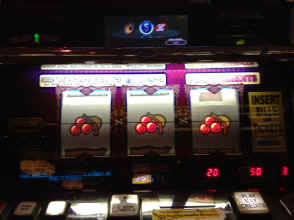 IMG_2245.JPG (1070503 bytes)