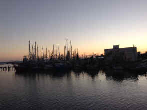 IMG_2339.JPG (1241491 bytes)