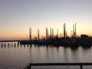 IMG_2342.JPG (1209106 bytes)