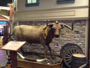 IMG_2344.JPG (1338544 bytes)