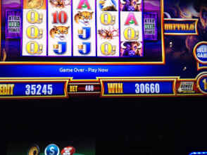 IMG_4243.JPG (1347155 bytes)