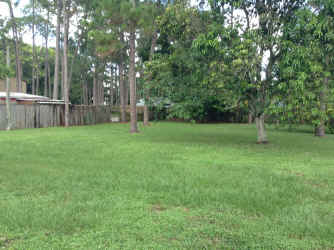 IMG_4584.JPG (2211646 bytes)