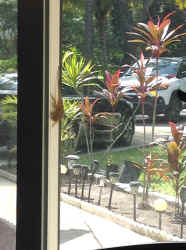 IMG_4592.JPG (908880 bytes)