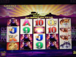 IMG_4842.JPG (1471579 bytes)