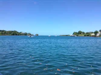 IMG_4958.JPG (1643147 bytes)