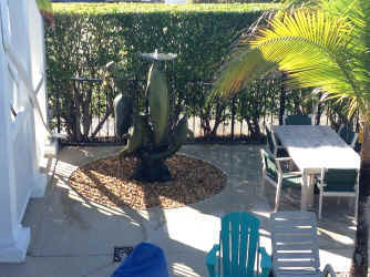 IMG_5274.JPG (1412931 bytes)