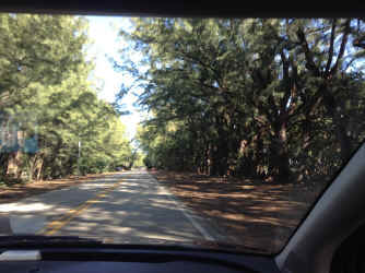 IMG_5284.JPG (1644766 bytes)