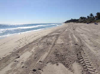 IMG_5293.JPG (1945406 bytes)