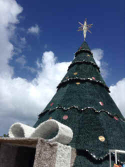 IMG_5637.JPG (1569013 bytes)