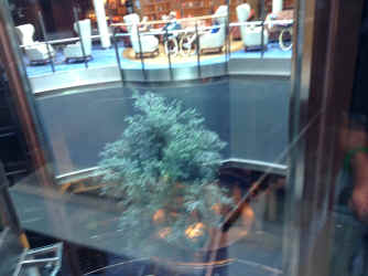 IMG_5691.JPG (1200646 bytes)