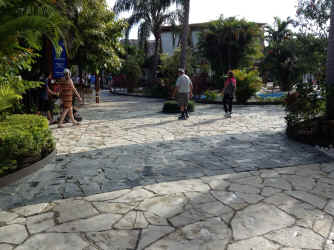 IMG_5805.JPG (1935123 bytes)