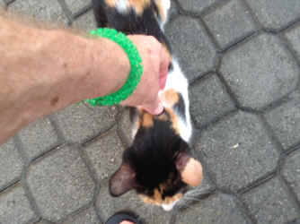 IMG_5854.JPG (1291028 bytes)