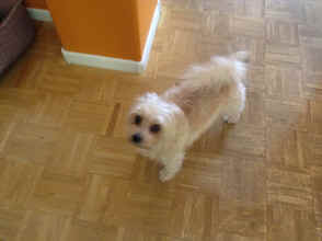 IMG_6347.JPG (1161661 bytes)