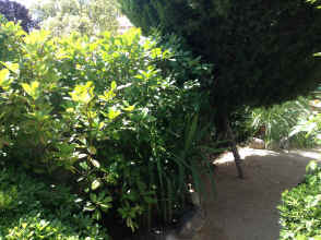 IMG_6356.JPG (1985634 bytes)