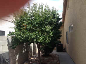 IMG_6373.JPG (1803005 bytes)