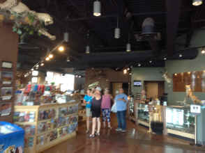 IMG_6432.JPG (1390782 bytes)