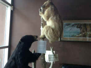 IMG_6437.JPG (1026577 bytes)