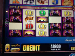 IMG_6534.JPG (1629488 bytes)