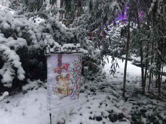 IMG_6971.JPEG (910042 bytes)