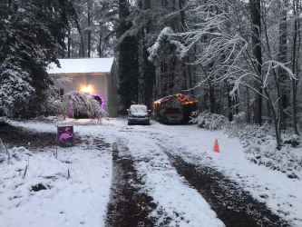 IMG_6973.JPEG (1100718 bytes)