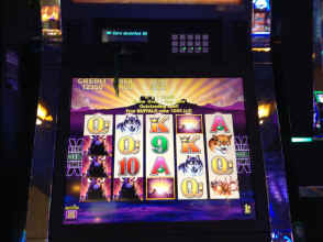 IMG_7194.JPG (1518293 bytes)