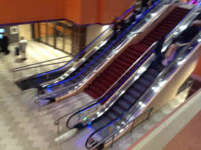 IMG_7279.JPG (1813336 bytes)