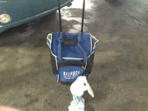 IMG_7292.JPG (1421723 bytes)