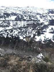 IMG_7647.JPEG (1319608 bytes)