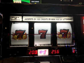 PNDV7796.JPG (1799879 bytes)