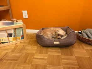 YGVI5538.JPG (2092713 bytes)